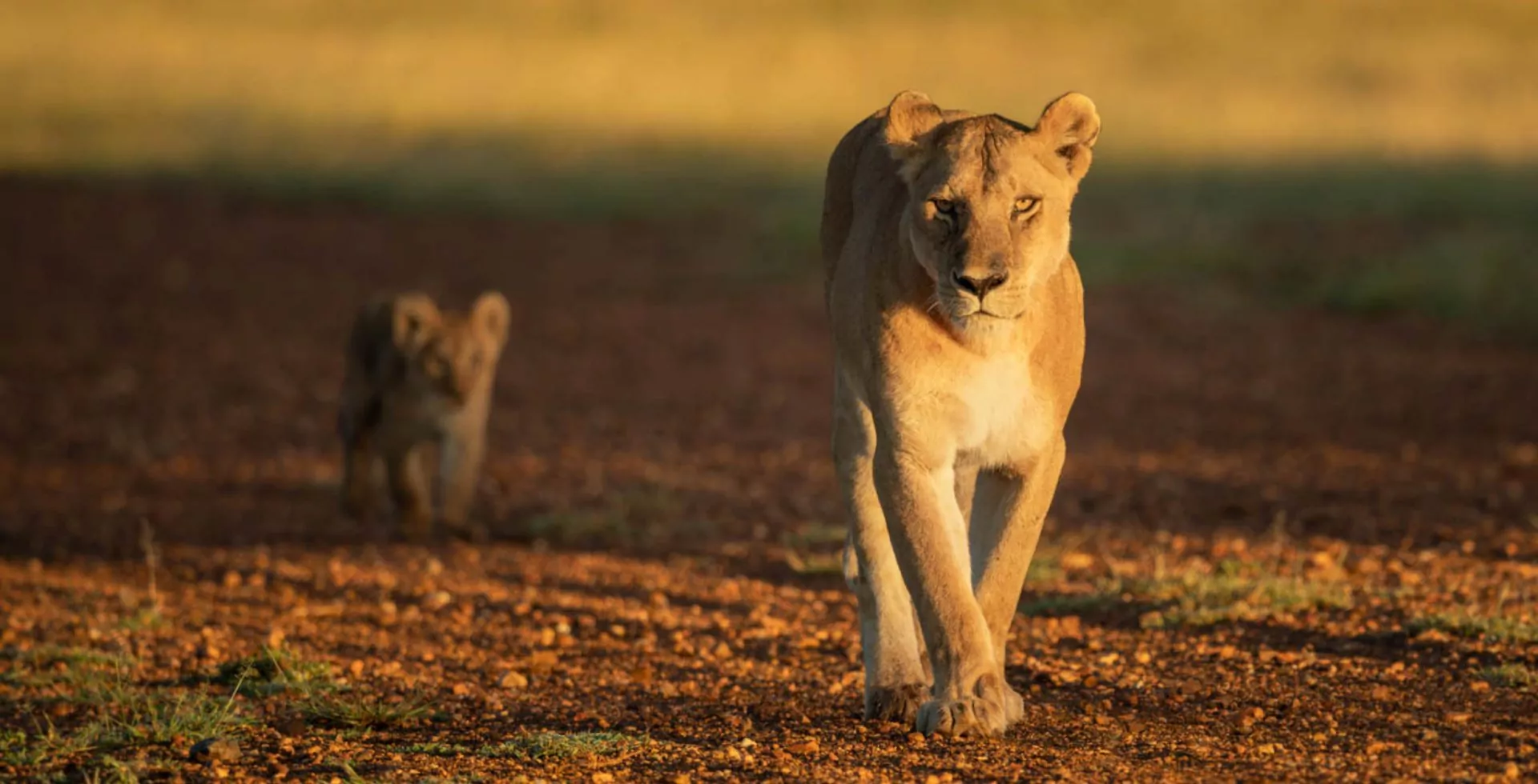 Luxury Travel in Kenya