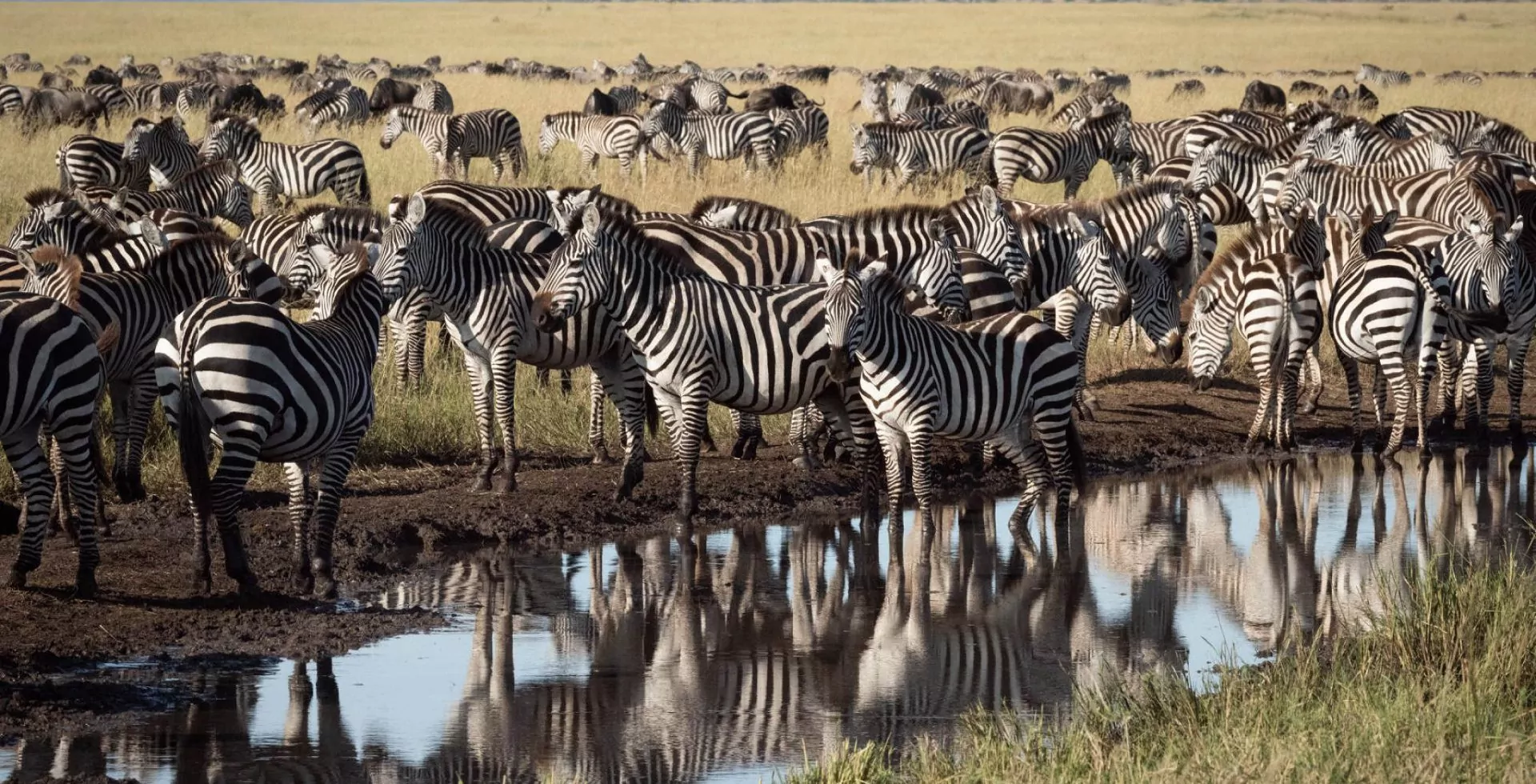 Tailor-made Itineraries