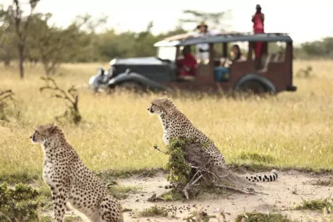 Cottar’s 1920s Safari Camp