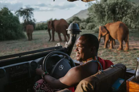 Elephant Bedroom Camp