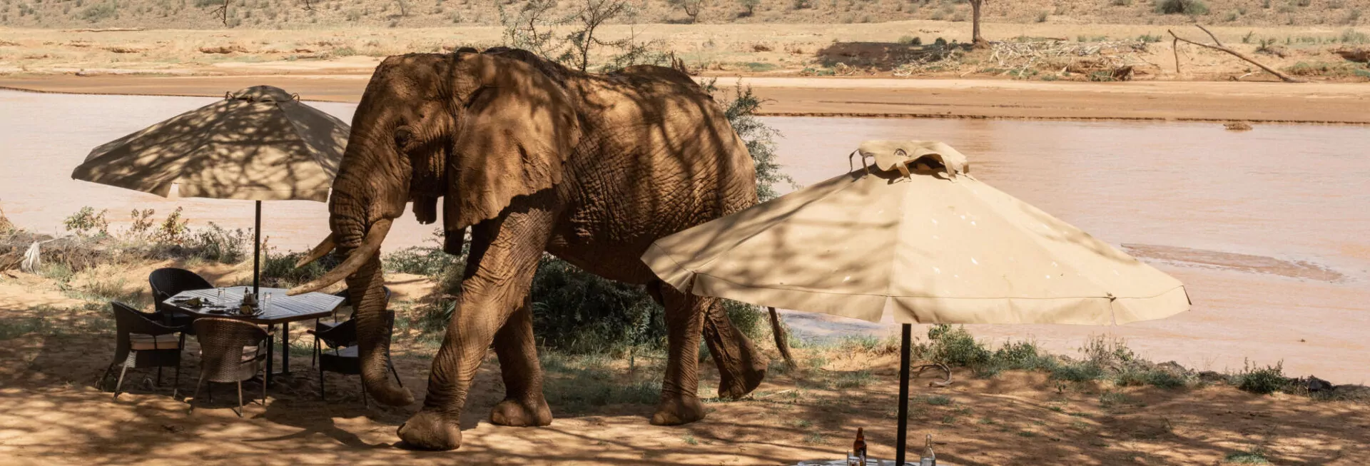 Elephant Bedroom Camp