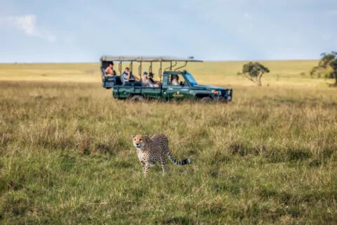 Elephant Pepper Camp