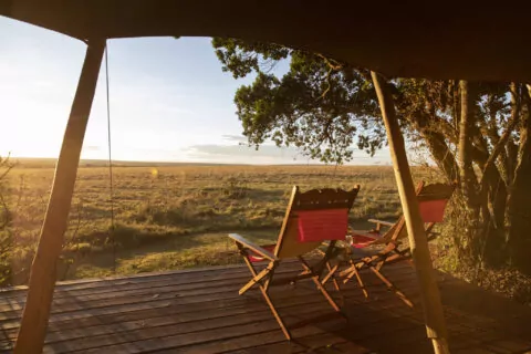 Elephant Pepper Camp