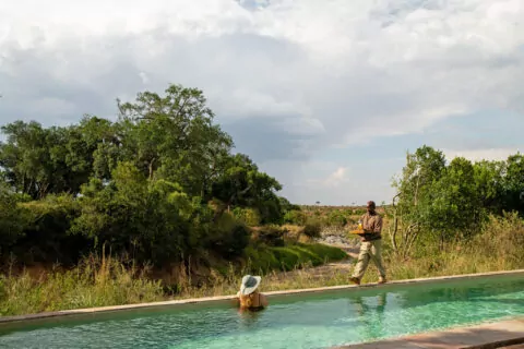 Elewana Sandriver Camp