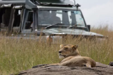 Elewana Sandriver Camp