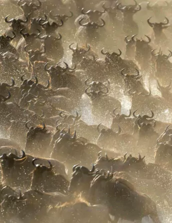 header_migration