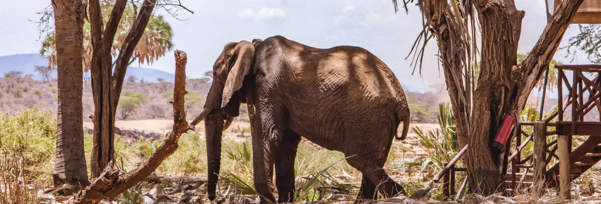 header_samburu