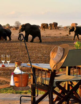 header_tsavo