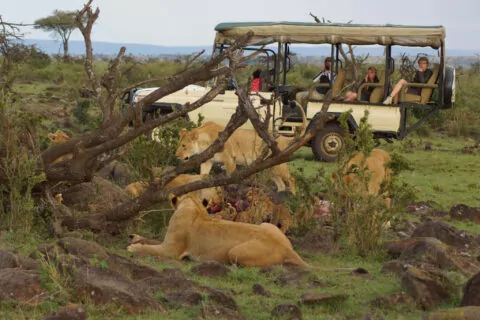 Karen Blixen Camp
