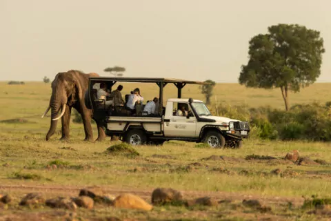 Karen Blixen Camp