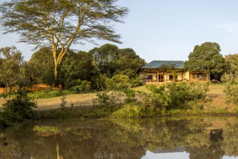 Mara Bush Houses