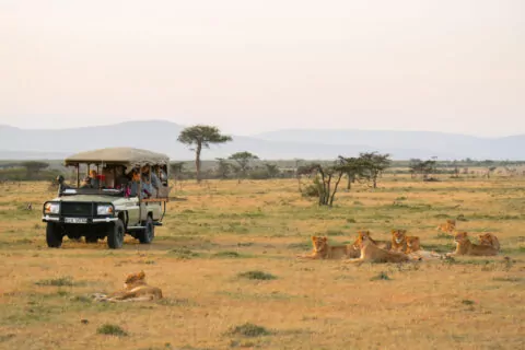 Asilia Naboisho Camp.