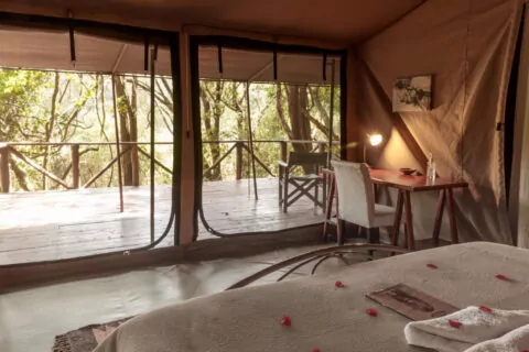 Nairobi Tented Camp