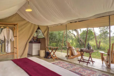 Ol Pejeta Bush Camp