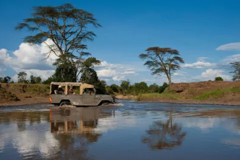 Ol Pejeta Bush Camp