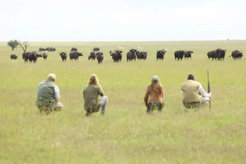 Ol Pejeta Bush Camp