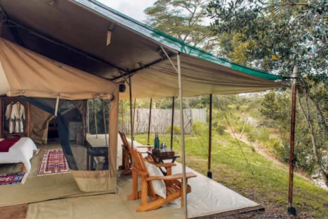 Ol Pejeta Bush Camp