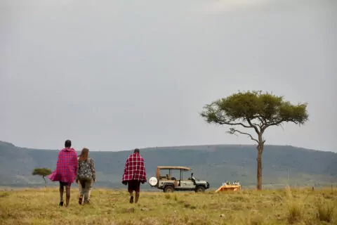Saruni Mara