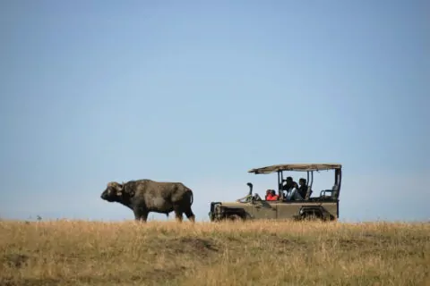 Saruni Mara