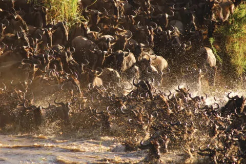 Saruni Mara