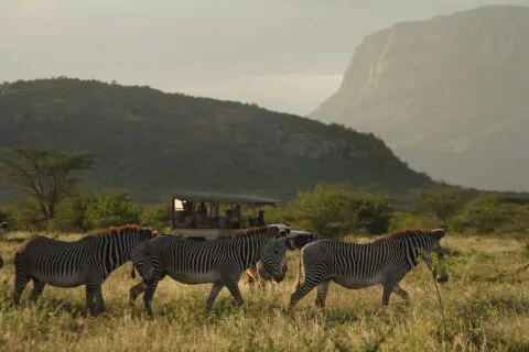 Saruni Samburu Camp