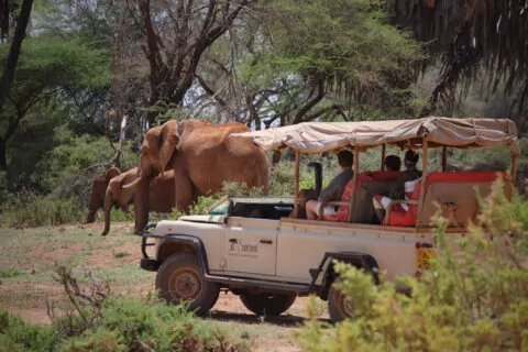 Saruni Samburu Camp