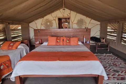 Satao Camp