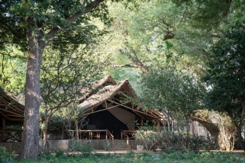 Satao Camp