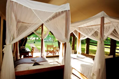 Voyager Ziwani Safari Lodge
