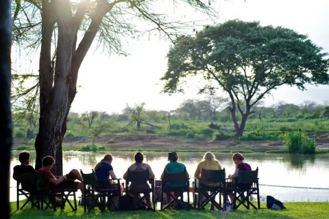 Voyager Ziwani Safari Lodge