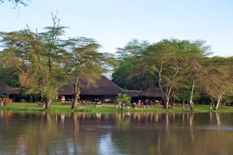 Voyager Ziwani Safari Lodge