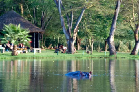 Voyager Ziwani Safari Lodge