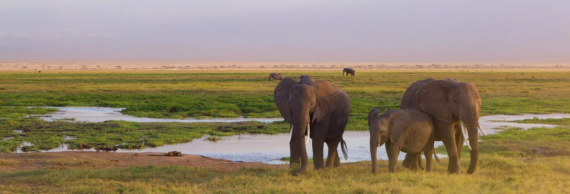 Amboseli National Park