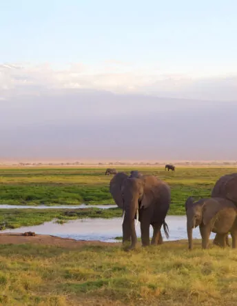 Amboseli National Park