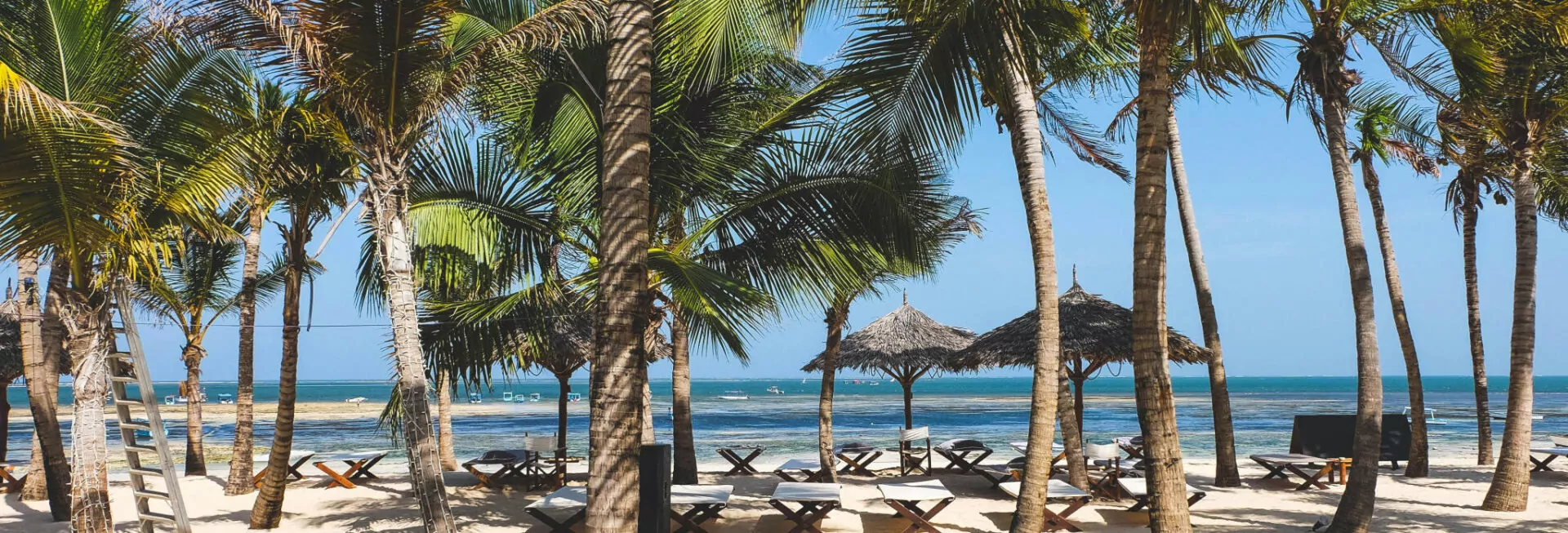 header_beach