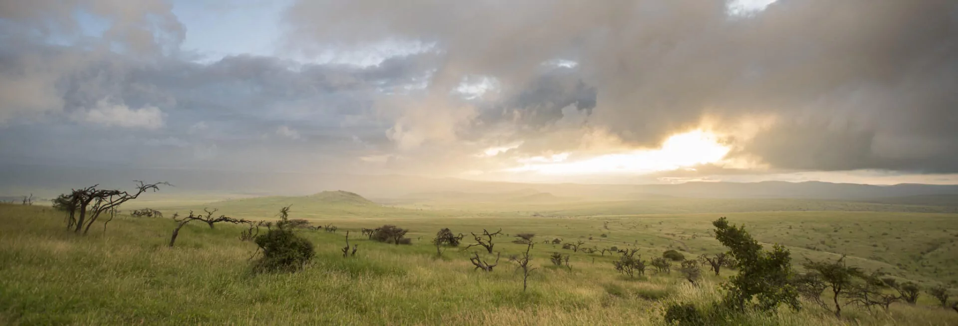 header_laikipia