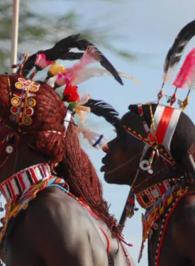 Samburu Safari