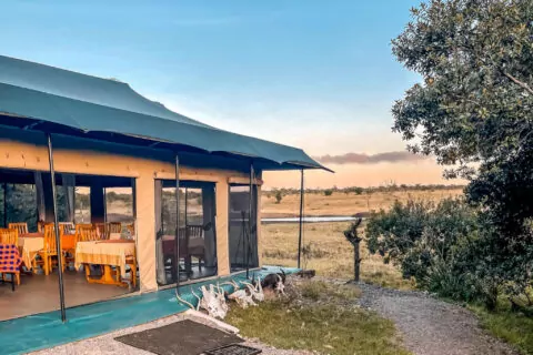 Porini Rhino Camp