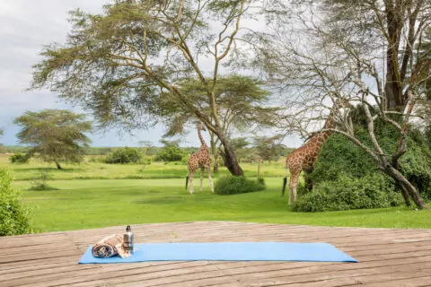 Solio Lodge