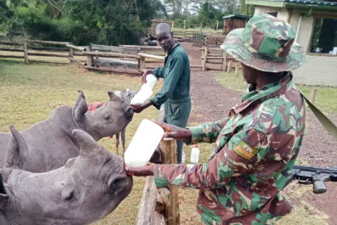 Solio Rhino Orphanage