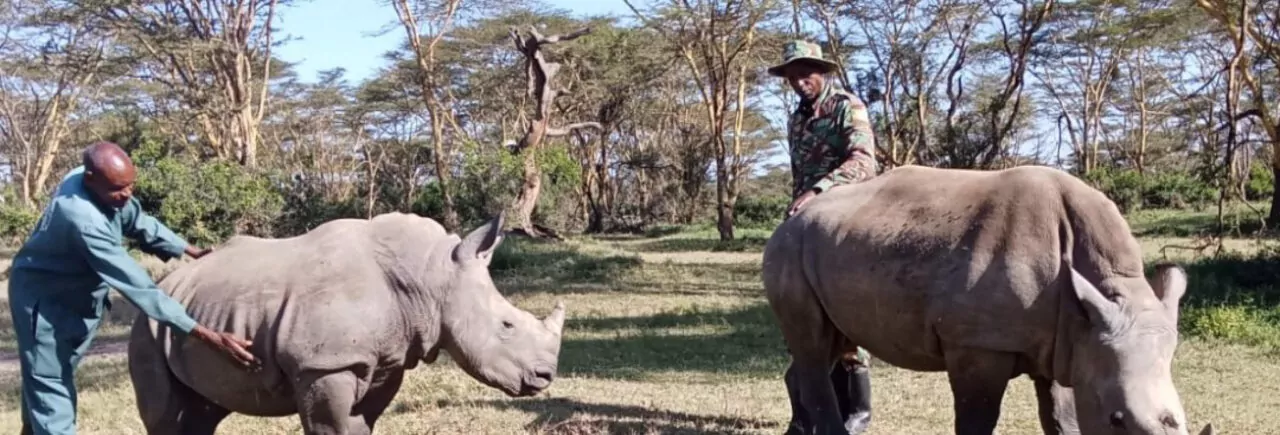 Solio Rhino Orphanage