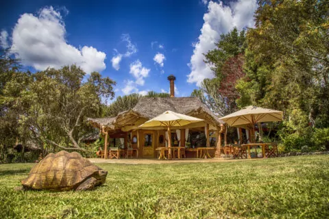 Chui Lodge