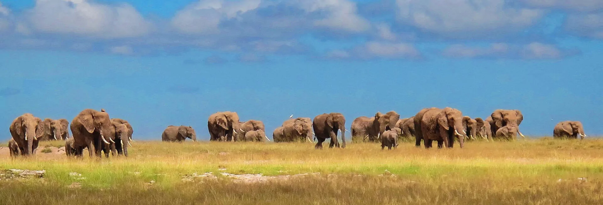 Chyulu Hills and Masai Mara Safari