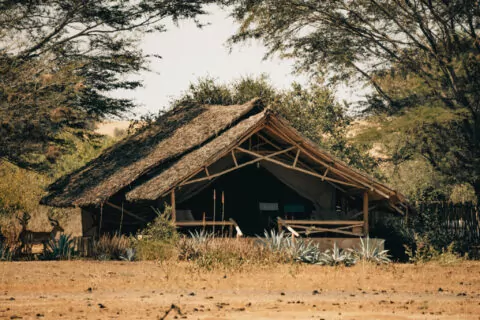 Satao Camp