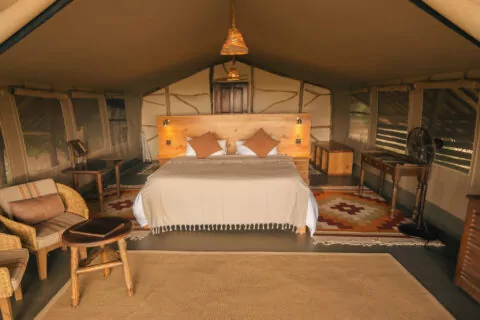 Satao Camp